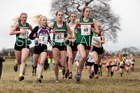 Junior womens 2018 Northern Cross Country Champs., Harewood House, Leeds. Photo: David T. Hewitson/Sports for All Pics